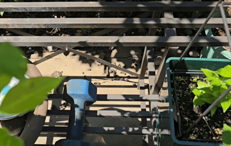 上海一小区居民苦恼新邻居:突然搬来让人提心吊胆<strong></p>
<p>虚拟币币安全</strong>!不能抓不能打