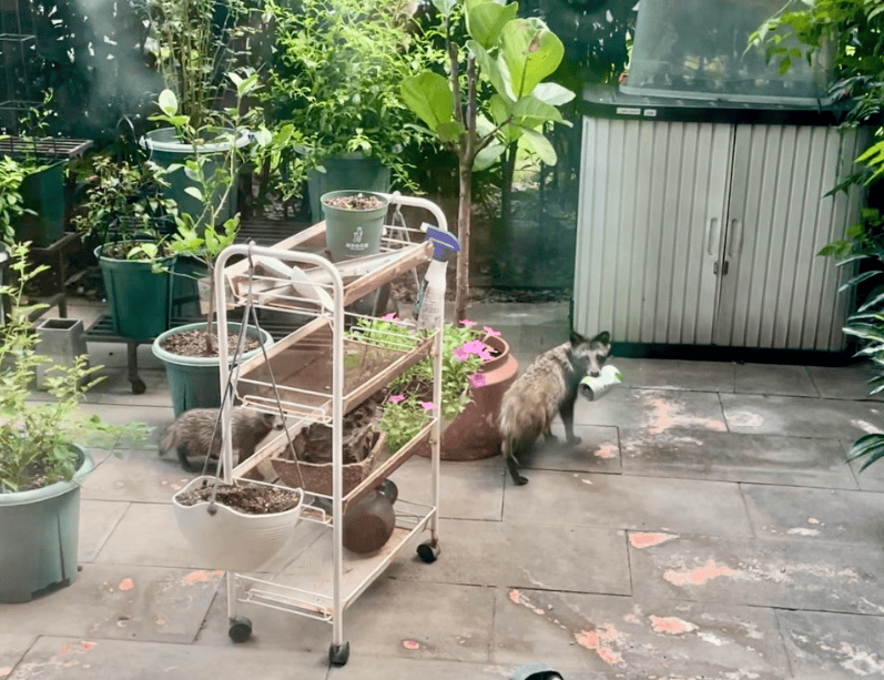 上海一小区居民苦恼新邻居:突然搬来让人提心吊胆<strong></p>
<p>虚拟币币安全</strong>!不能抓不能打