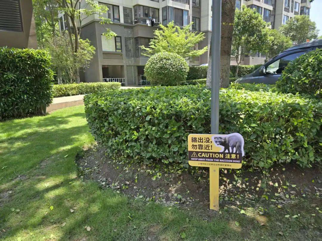 上海一小区居民苦恼新邻居:突然搬来让人提心吊胆<strong></p>
<p>虚拟币币安全</strong>!不能抓不能打