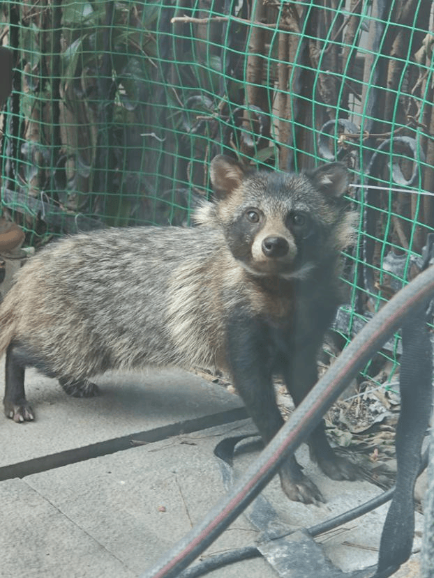 上海一小区居民苦恼新邻居:突然搬来让人提心吊胆<strong></p>
<p>虚拟币币安全</strong>!不能抓不能打