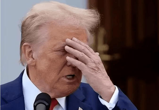 不服美国的国家出现了<strong></p>
<p>虚拟币管理</strong>，宣布对美征50%关税，特朗普担忧的来了