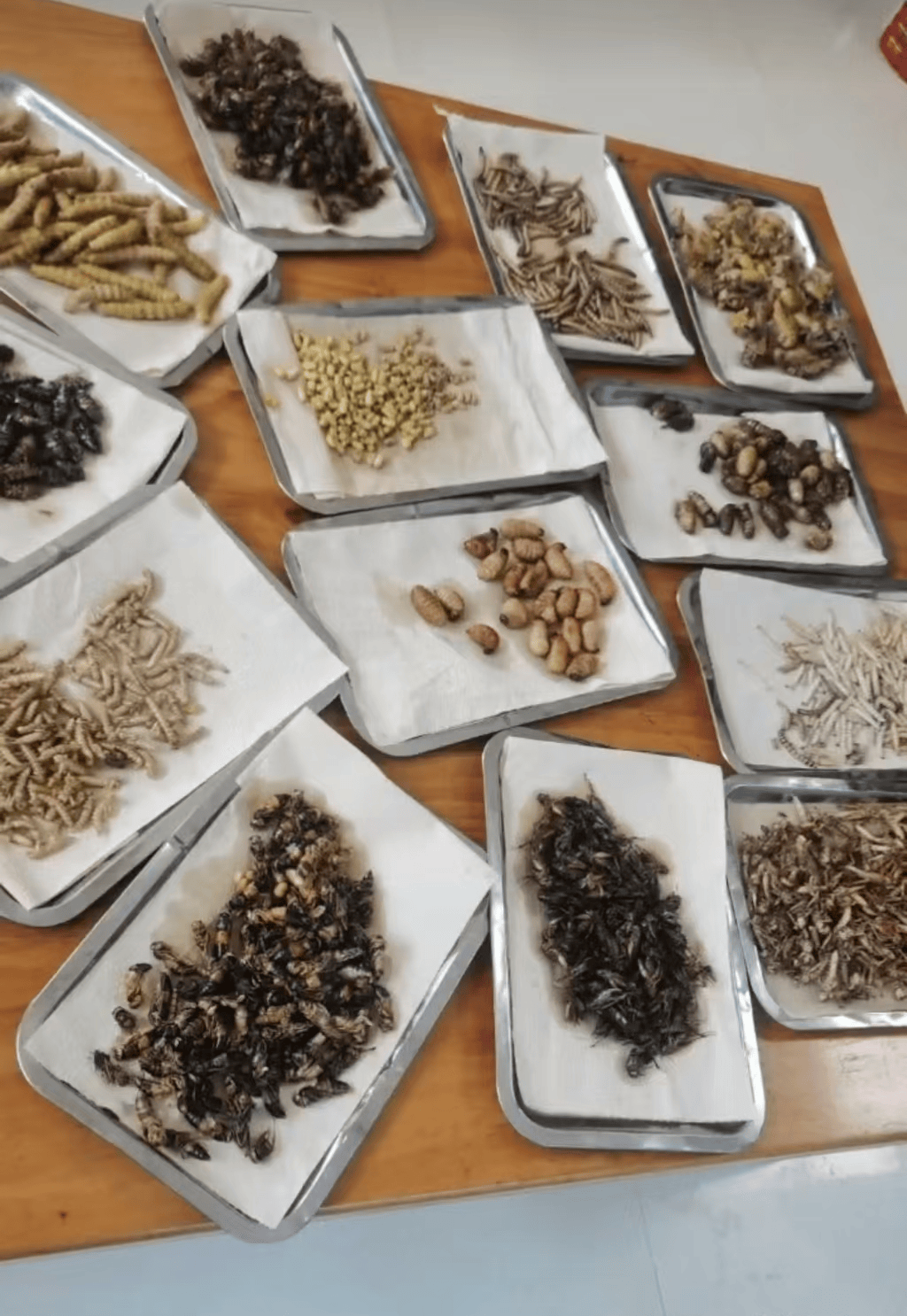 山东临沂通报“蛤蟆汤”饭店被拟罚45万：撤销处罚<strong></p>
<p>虚拟币源码</strong>，5人停职