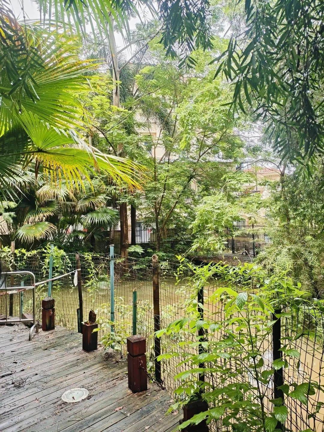 黄杨钿甜父母回应网络争议:“天价耳环”实际100多元<strong></p>
<p>虚拟币挖币机</strong>,别墅不是自家的,只是路过拍照