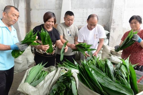 荣昌：集体林分区分级经营实现生态经济双赢