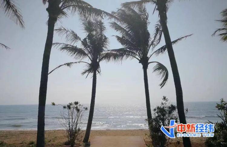 海南全岛封关时间定了<strong></p>
<p>知乎虚拟币</strong>!啥是封关?与你有啥关系?