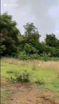 又炸了！泰国F-16越炸越凶<strong></p>
<p>虚拟币赚钱么</strong>，中国远火开打，最终还是柬埔寨失算了