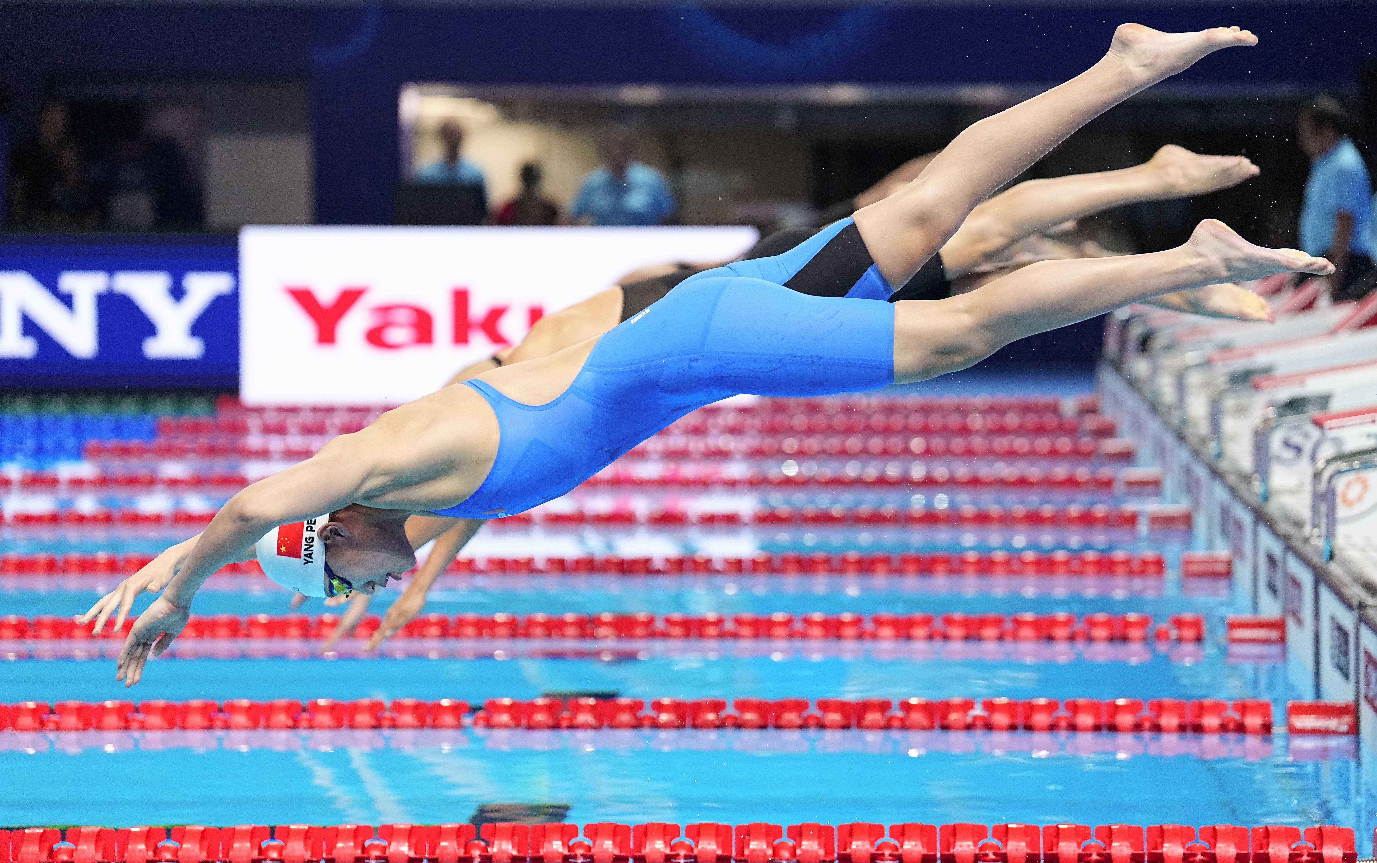 （游泳世锦赛）游泳——女子1500米自由泳决赛赛况