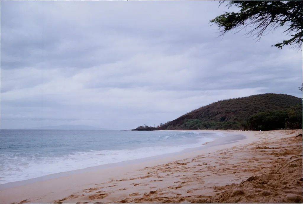 8.7级强震<strong></p>
<p>虚拟币赚钱么</strong>，海啸已到日本！福岛第一核电站发出避难指示，中领馆紧急提醒