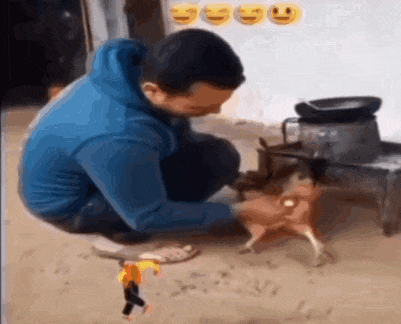 粘着鸡毛鸡屎的土鸡蛋<strong></p>
<p>日本</strong>,要先洗干净再放冰箱吗?