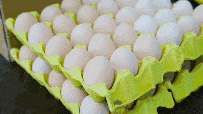 粘着鸡毛鸡屎的土鸡蛋<strong></p>
<p>日本</strong>,要先洗干净再放冰箱吗?