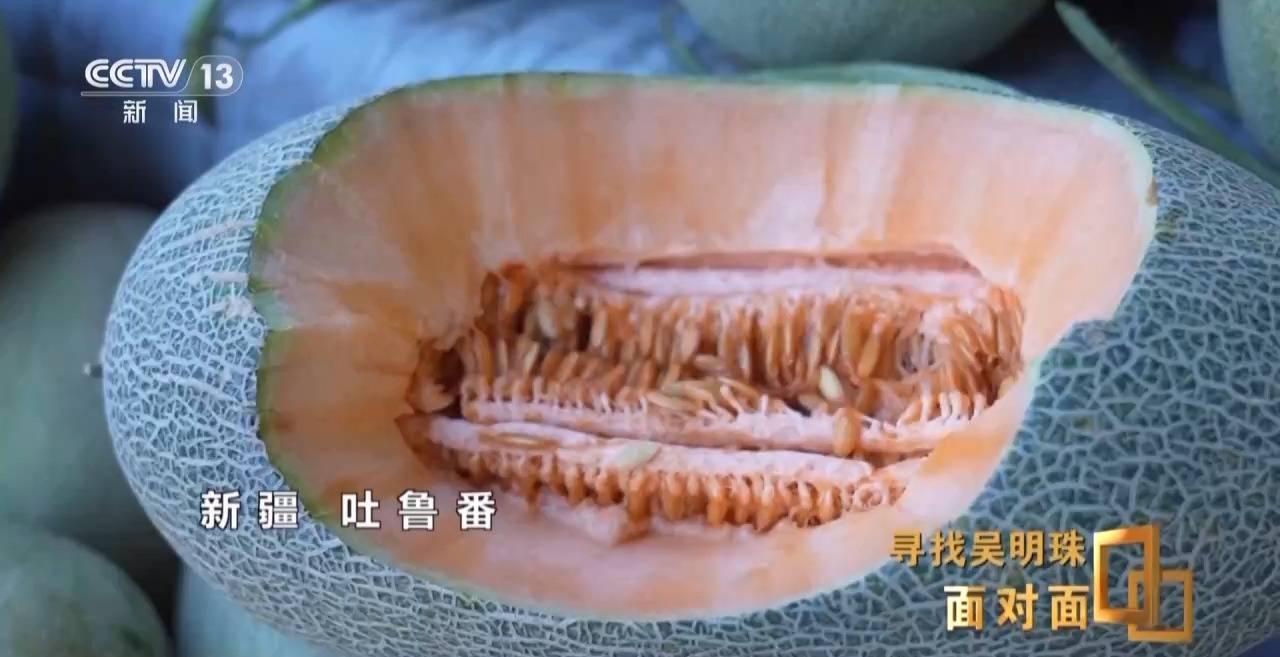 面对面丨中国人的吃瓜自由要感谢她<strong></p>
<p>虚拟币Steam</strong>！吴明珠说她的一生就是结几个好瓜献给人民