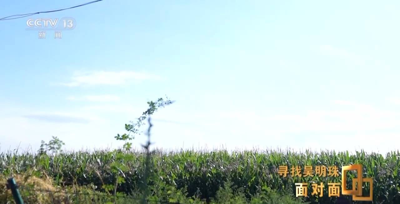 面对面丨中国人的吃瓜自由要感谢她<strong></p>
<p>虚拟币Steam</strong>！吴明珠说她的一生就是结几个好瓜献给人民