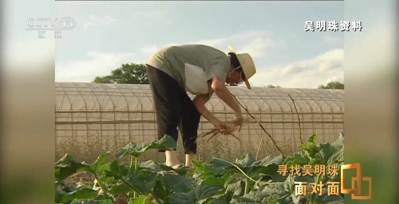 面对面丨中国人的吃瓜自由要感谢她<strong></p>
<p>虚拟币Steam</strong>！吴明珠说她的一生就是结几个好瓜献给人民