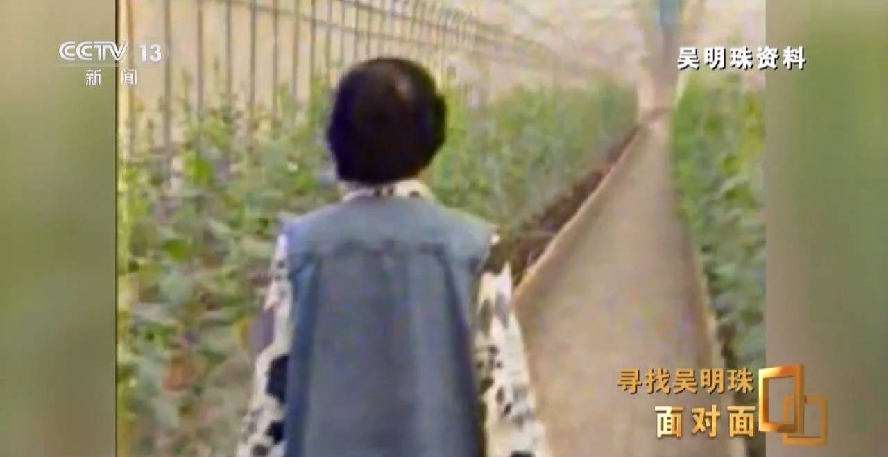 面对面丨中国人的吃瓜自由要感谢她<strong></p>
<p>虚拟币Steam</strong>！吴明珠说她的一生就是结几个好瓜献给人民