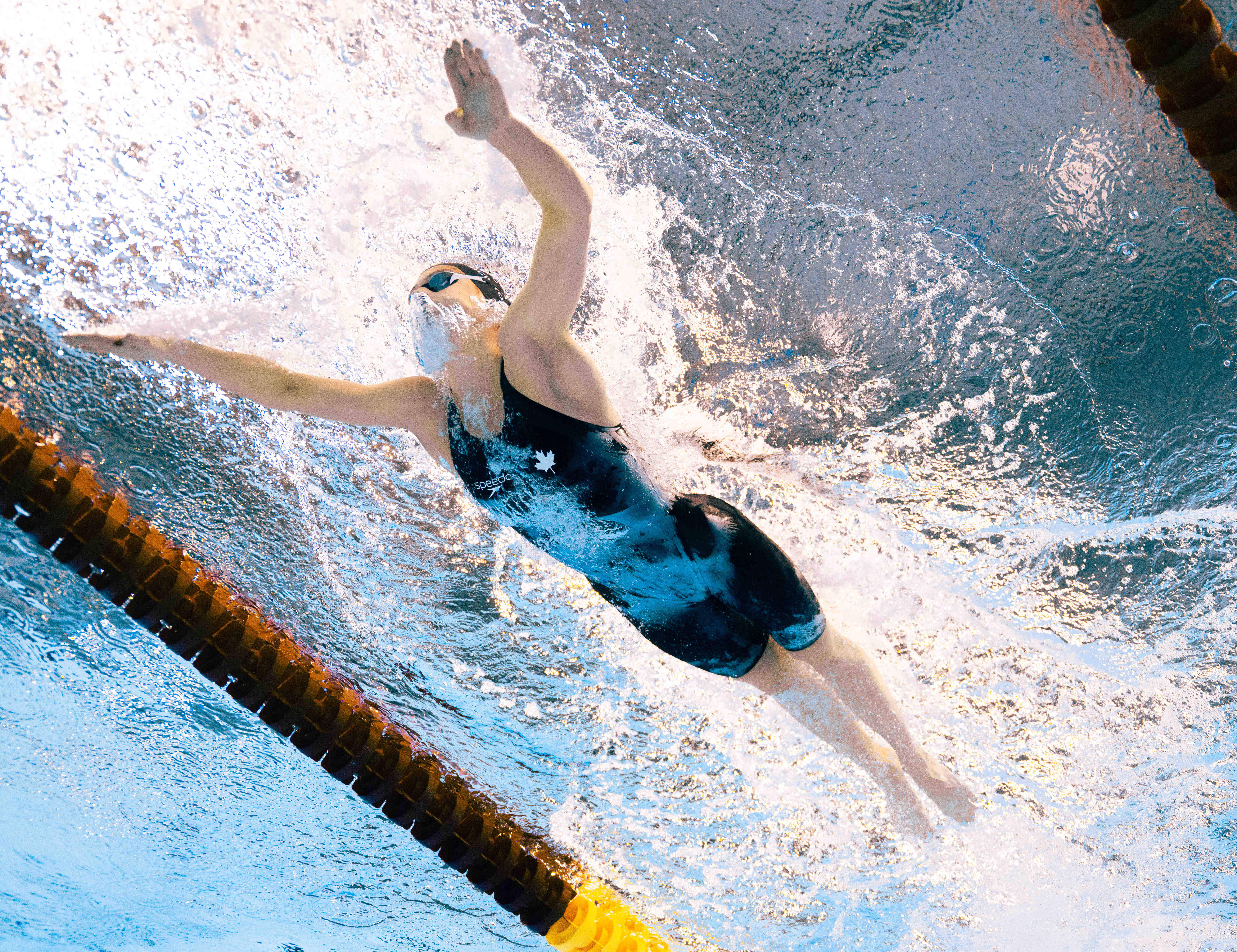 游泳世锦赛:美国队打破世界纪录 中国队收获两银两铜