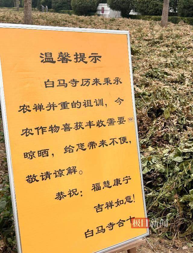 印乐方丈管理下的白马寺：僧人顶着高温种地<strong></p>
<p>虚拟币Steam</strong>，义工称寺里秉承农禅并重