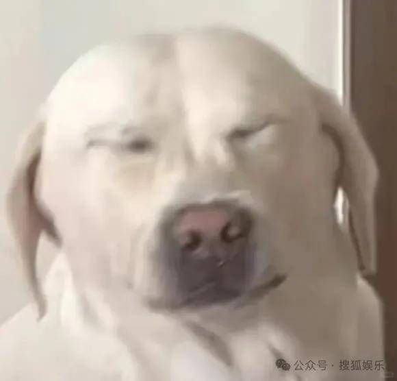 离婚三年又被拍到亲密逛超市<strong></p>
<p>电线</strong>，他俩这是纯带娃还是真复合了？