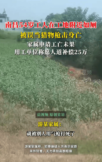 54岁农民工在工地附近如厕被气枪击杀<strong></p>
<p>单休</strong>，肇事者自首，用工单位愿补偿25万，家属发声