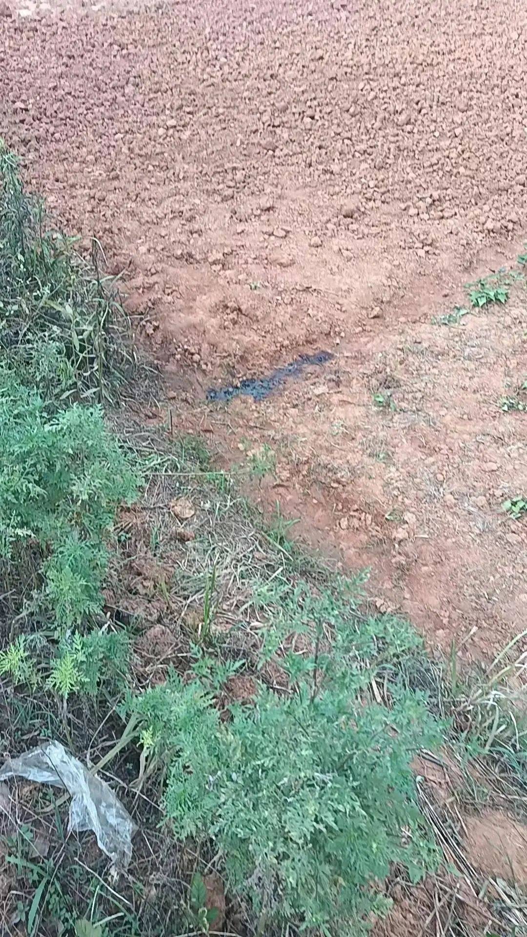 54岁农民工在工地附近如厕被气枪击杀<strong></p>
<p>单休</strong>，肇事者自首，用工单位愿补偿25万，家属发声