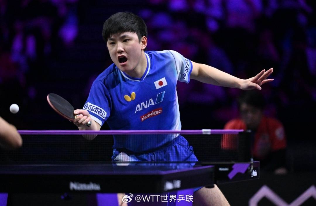 横滨冠军赛张本智和晋级男单决赛<strong></p>
<p>快手股票</strong>，将与王楚钦vs莫雷加德的胜者争冠，赛后回应