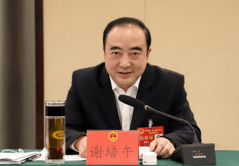 中央巡视期间<strong></p>
<p>快手股票</strong>，谢培午被查