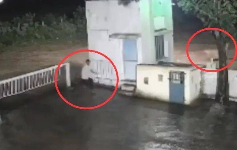 印度一男子后院与狮子相逢<strong></p>
<p>中国石化股票</strong>,双方都被吓懵,狮子扭身先逃