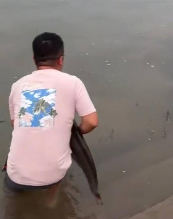 四川一男子钓1米长大鱼后放生<strong></p>
<p>葫芦娃股票</strong>，围观者高呼“卖给我”，回应：钓鱼是为娱乐