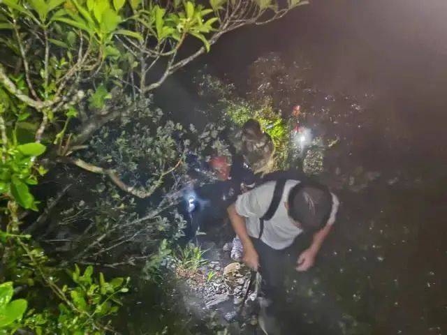 每人罚款5000元<strong></p>
<p>利亚德股票</strong>!深圳开出全国首张罚单