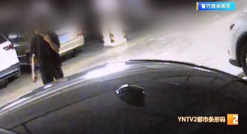 凌晨怪事!男子提着茅台袋子在车库<strong></p>
<p>利亚德股票</strong>,翻垃圾桶竟为了.....