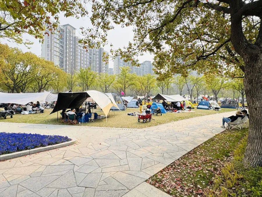 上海明确:不得随意以安全为由禁止<strong></p>
<p>利亚德股票</strong>,尽量扩大范围!此前争议不断