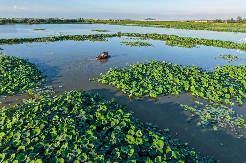 安徽庐江:乡村音乐会 艺术进景区