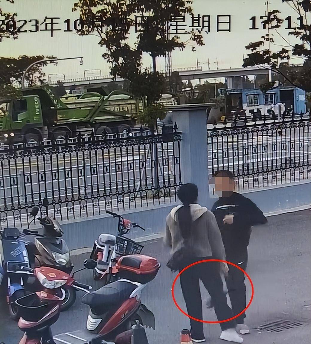 “儿子备考的大学需政审<strong></p>
<p>上海莱士股票</strong>，母亲怕影响孩子默默忍受家暴”？当事女子回应：事实有出入