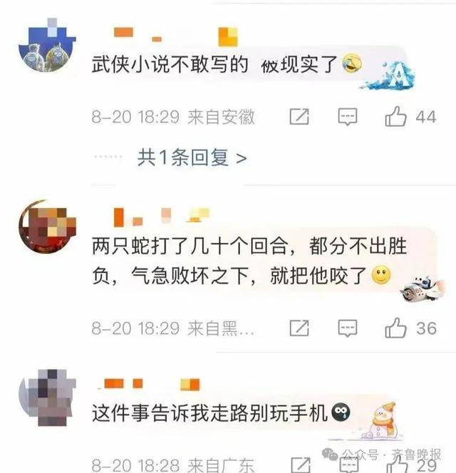 安徽宣城一男子走路玩手机<strong></p>
<p>上海莱士股票</strong>,一脚踩中打架的竹叶青和五步蛇,被俩毒蛇咬3口!医院:暂无生命危险,正在治疗