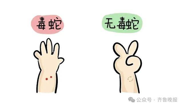 安徽宣城一男子走路玩手机<strong></p>
<p>上海莱士股票</strong>,一脚踩中打架的竹叶青和五步蛇,被俩毒蛇咬3口!医院:暂无生命危险,正在治疗