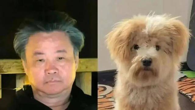 余华认证“潦草小狗”标签：气质确实有点像