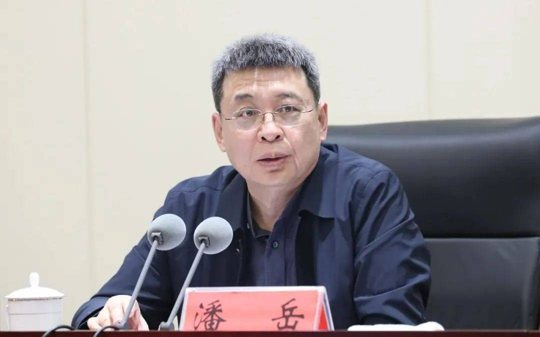 正部级潘岳<strong></p>
<p>宝泰隆股票</strong>，有新职