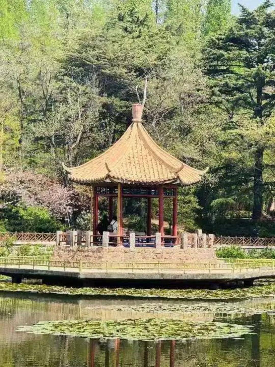 青岛中山公园一凉亭突然倒塌：一年前刚完成修缮<strong></p>
<p>股票市值</strong>，园方称无伤亡原因待查