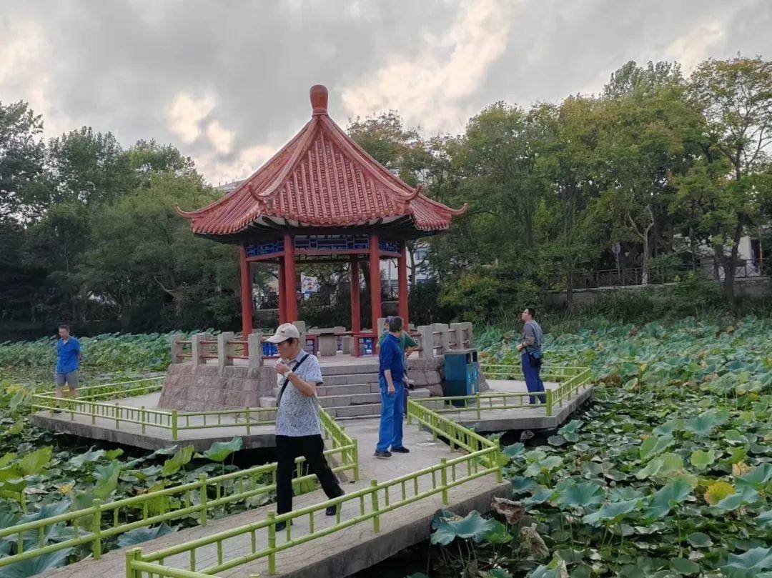 青岛中山公园一凉亭突然倒塌：一年前刚完成修缮<strong></p>
<p>股票市值</strong>，园方称无伤亡原因待查