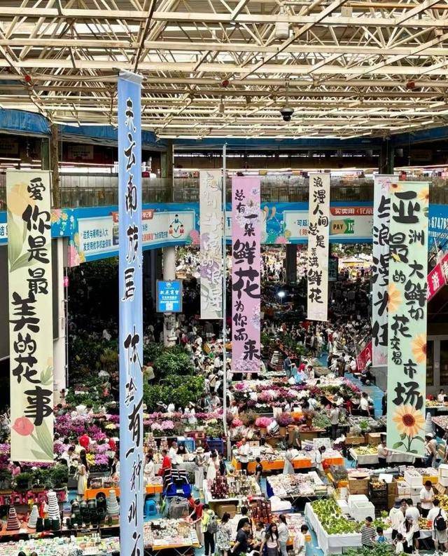 七夕不送玫瑰改送花菜<strong></p>
<p>深康佳a股票</strong>！这一届年轻人“反套路”重新定义浪漫