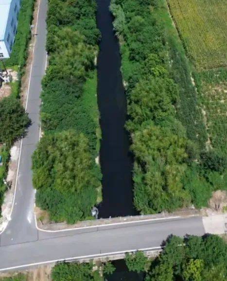 去年整改过的“黑水河”<strong></p>
<p>深康佳a股票</strong>，今年怎么又黑了？ | 新京报快评