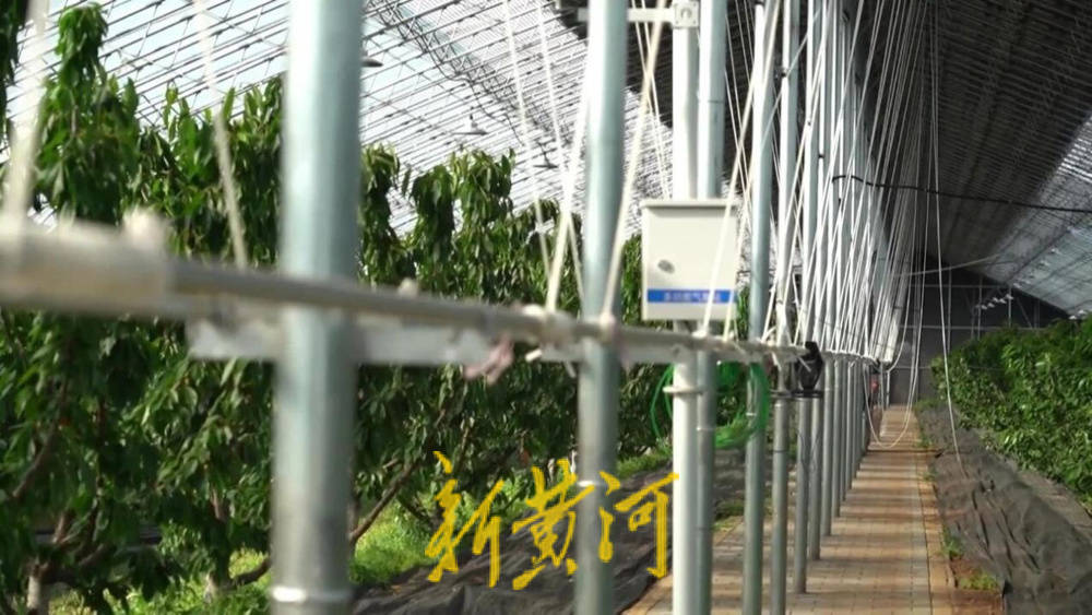 潍坊临朐：30.77 亿元<strong></p>
<p>长盈精密股票</strong>！“红玛瑙”大樱桃何以成乡村振兴“甜蜜引擎”