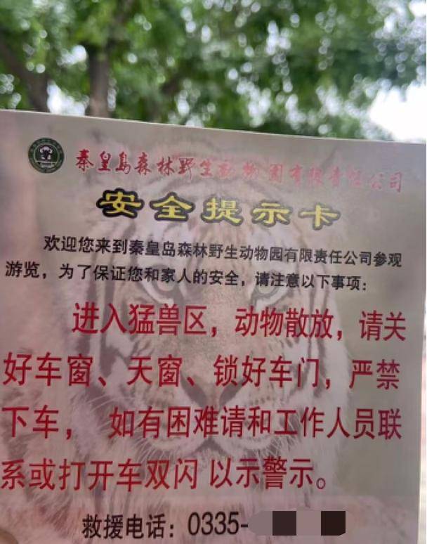 惊险！野生动物园内<strong></p>
<p>长盈精密股票</strong>，两车剐蹭，车主下车沟通老虎一旁围观