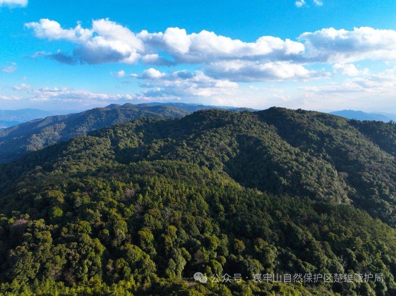 云南哀牢山新规出台：禁止任何单位和个人擅入哀牢山自然保护区<strong></p>
<p>美的集团股票</strong>，从事科研活动须报批