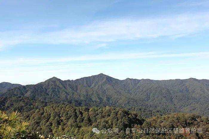 云南哀牢山新规出台：禁止任何单位和个人擅入哀牢山自然保护区<strong></p>
<p>美的集团股票</strong>，从事科研活动须报批