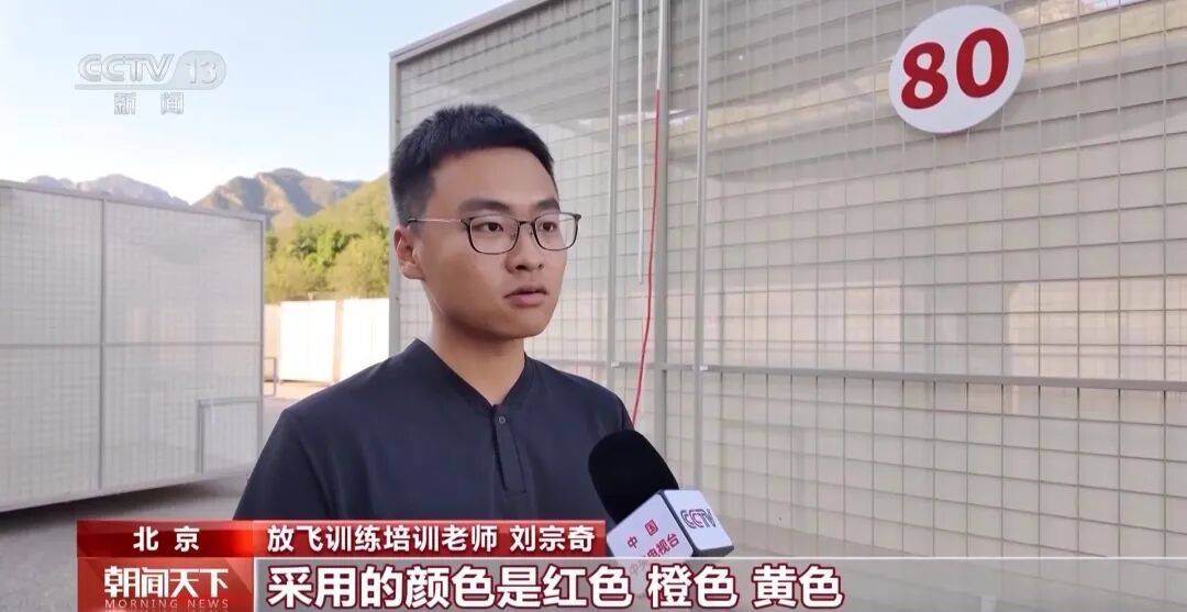 明天将放飞8万羽和平鸽、8万只气球<strong></p>
<p>美的集团股票</strong>，揭秘！