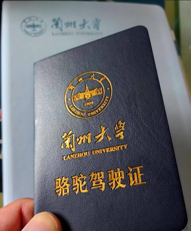 一人一驼<strong></p>
<p>美的集团股票</strong>，骆驼尾气排放超标要扣分？兰大回应学生持证骑骆驼上学：骆驼驾驶证为学校文创，非官方证件