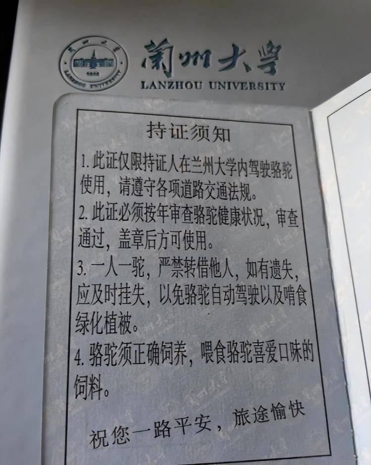 一人一驼<strong></p>
<p>美的集团股票</strong>，骆驼尾气排放超标要扣分？兰大回应学生持证骑骆驼上学：骆驼驾驶证为学校文创，非官方证件