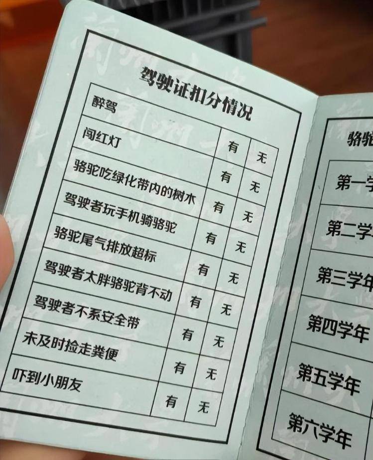 一人一驼<strong></p>
<p>美的集团股票</strong>，骆驼尾气排放超标要扣分？兰大回应学生持证骑骆驼上学：骆驼驾驶证为学校文创，非官方证件