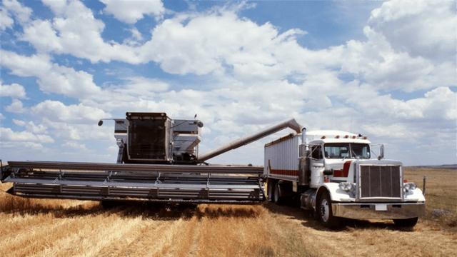 美国突然收到一封“投降书”<strong></p>
<p>美的集团股票</strong>!台湾将掏出所有家底双手奉上