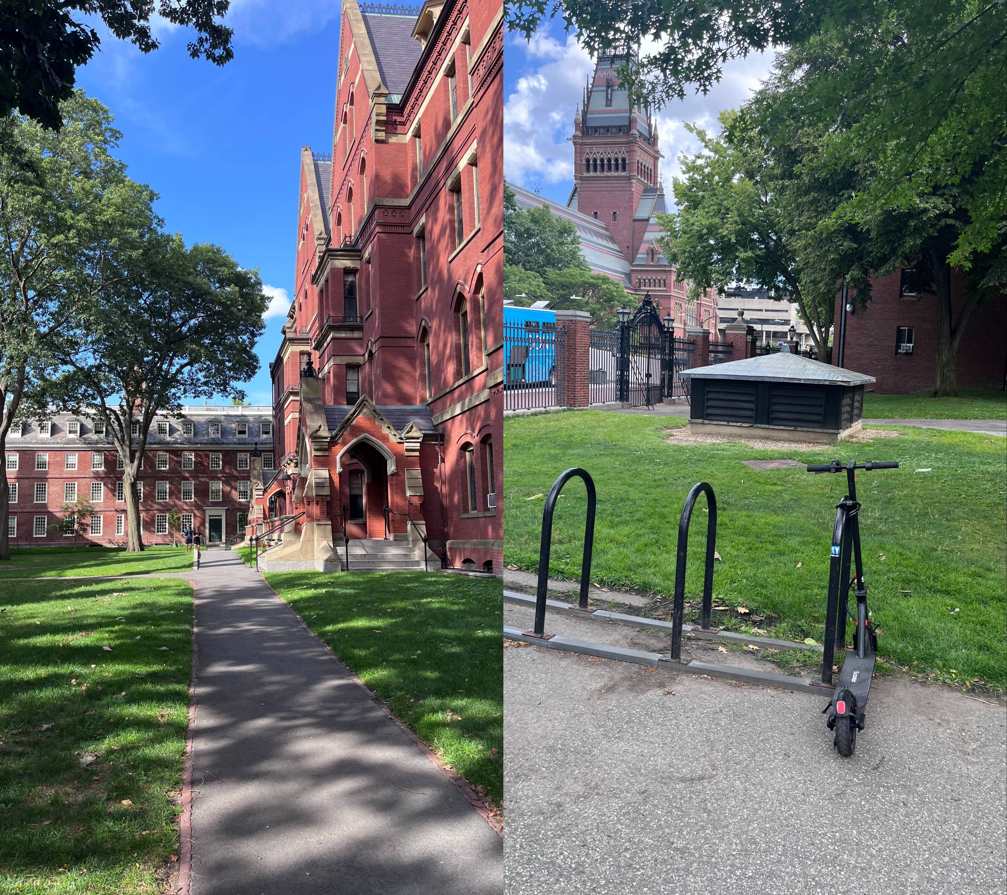 县城女孩赴美留学 哈佛梦值不值200万<strong></p>
<p>美的集团股票</strong>？